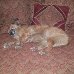 Meet your Posher, Andrea